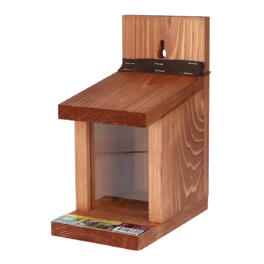 Eekhoorn – Voederhuis Hout