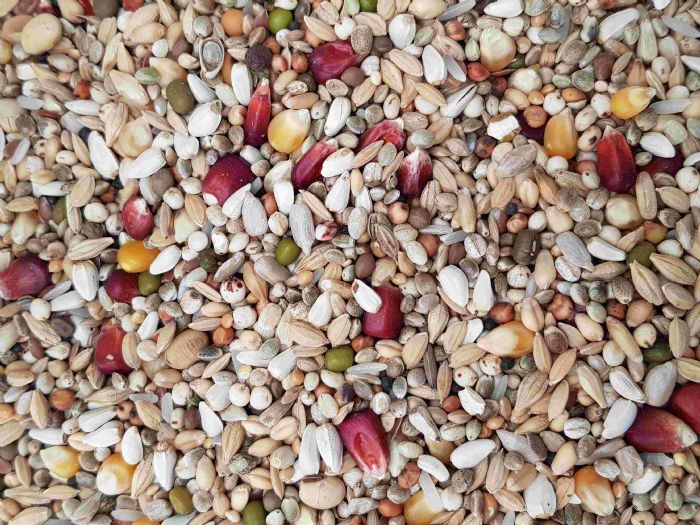 AIDI girl power 20 kg