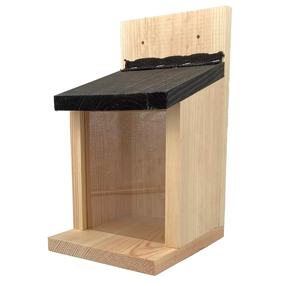 Eekhoorn – Voederhuis Zwart Dak