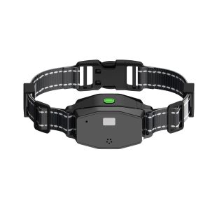 Extra ontvanger van anti blafband en trainingsset T810 – 3 in 1 – 300m bereik in bossen  – met trilling, shock & geluid en LED
