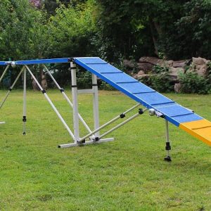 Agility Hondenloop Professioneel