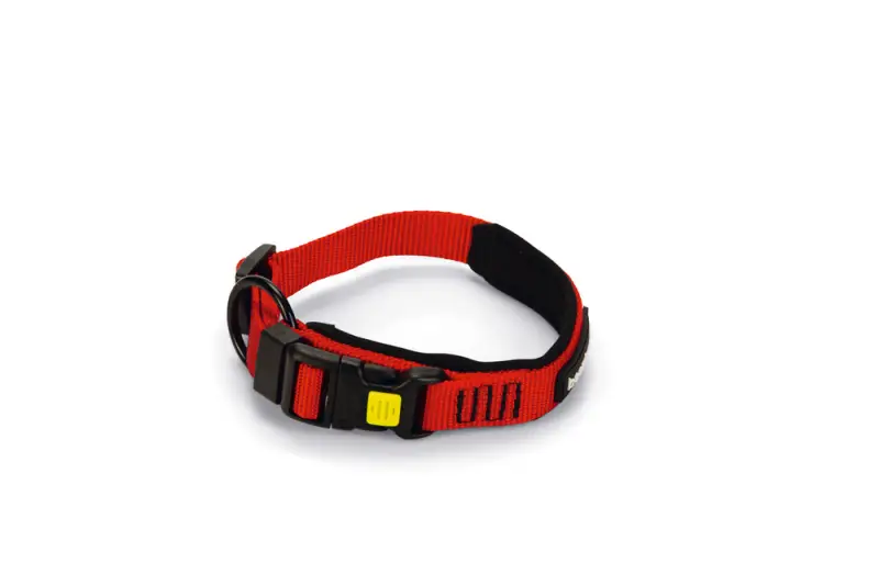 Beeztees Nylon Premium Hondenhalsband Parinca 30-35 cm — Rood