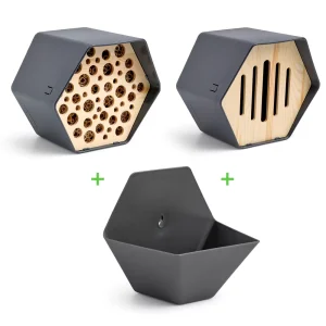 Cadeaupakket – Capi Hive Insect – Antraciet