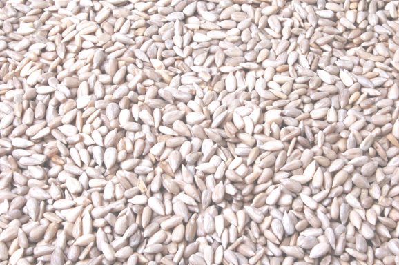 Gepelde zonnepitten 1 kg