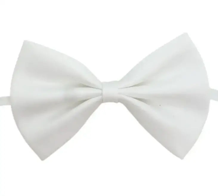 Honden- en Kattenstrikje — Wit