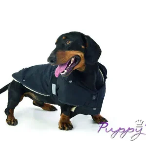 Hondenjas No Limit — Zwart