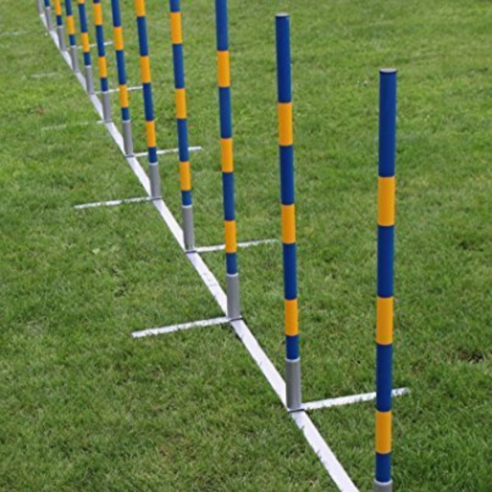 Agility Slalom set voor behendigheidstraining