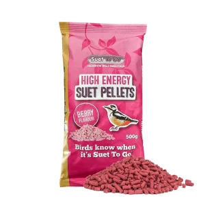 Vetkorrels Hi Energy Berry – 500 gram