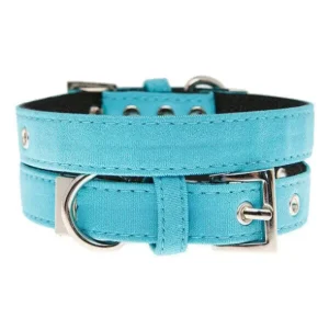 UrbanPup Hondenhalsband Neon Blue 35-45 cm