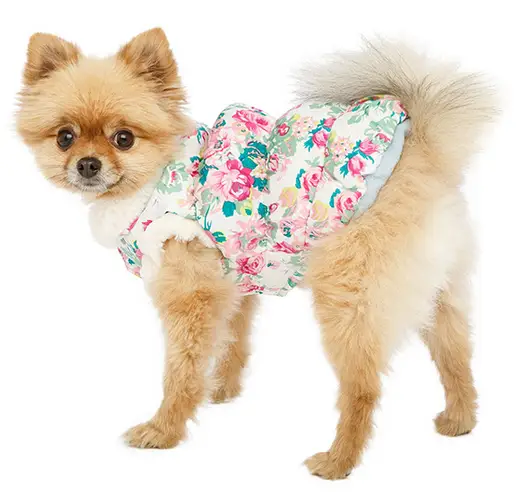 UrbanPup Hondenjasje Rose Sensation — Ruglengte 25 cm